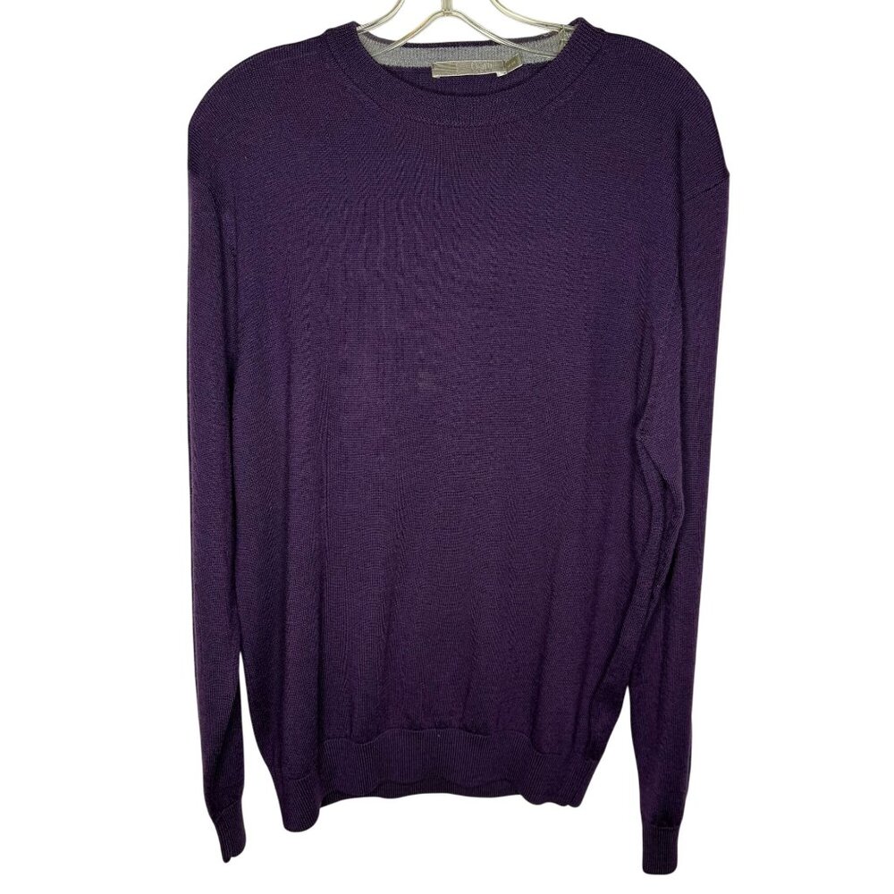 Raffi Linea Uomo Mens Purple Crewneck Sweater Extra Fine Merino Wool Medium M/50